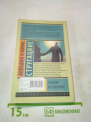 Пикник на обочине