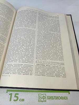 Большая Советская Энциклопедия. Том 6. Ботошани - Вариолит