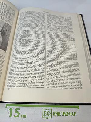 Большая Советская Энциклопедия. Том 18. Индекс - Истон. Второе издание.