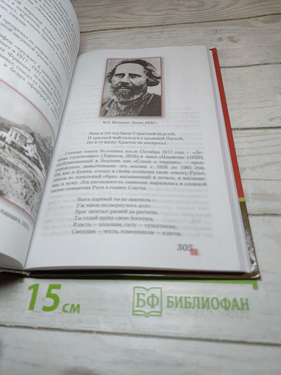 Литература. 11 класс. Часть I. Базовый уровень