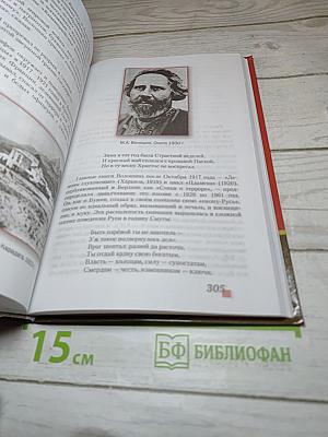 Литература. 11 класс. Часть I. Базовый уровень