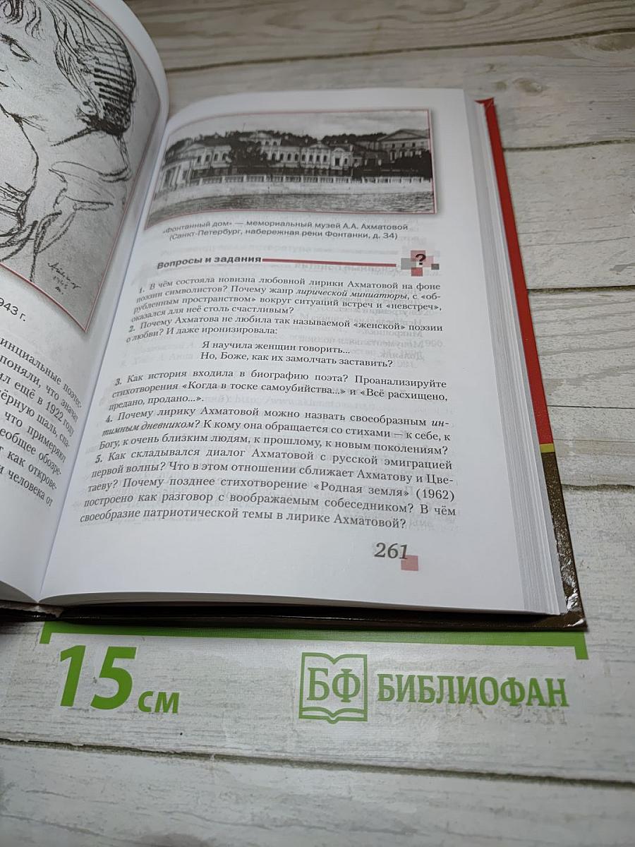 Литература. 11 класс. Часть I. Базовый уровень
