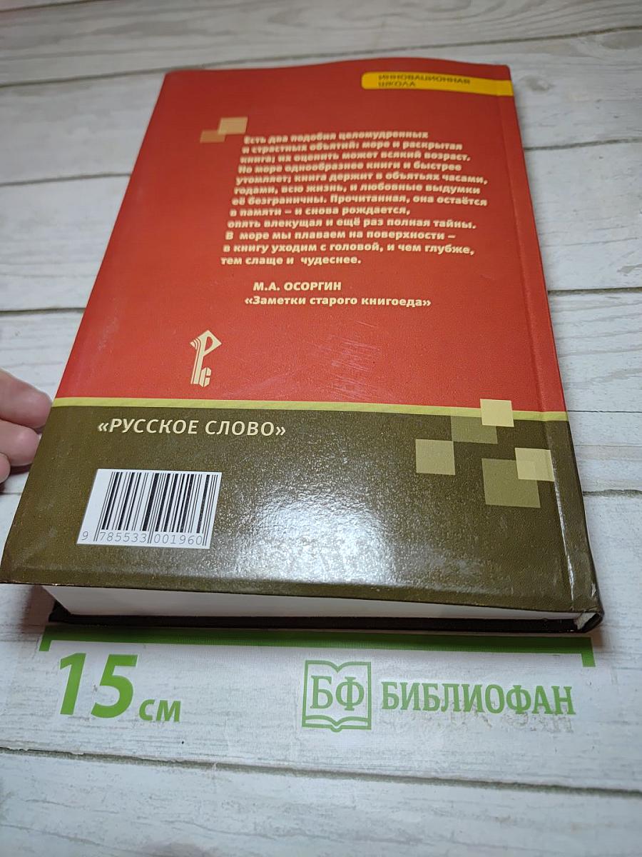 Литература. 11 класс. Часть I. Базовый уровень