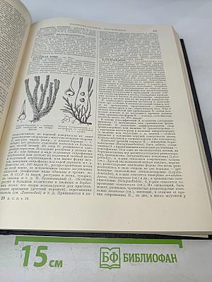 Большая Советская Энциклопедия. Том 33: Печь - Польский
