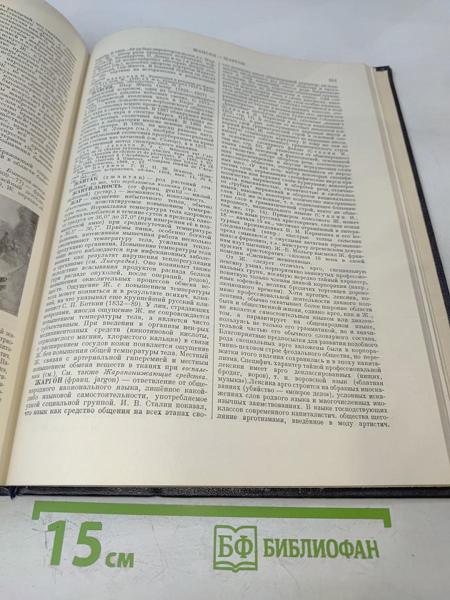Большая Советская Энциклопедия, том 15: Докеры - Железняков