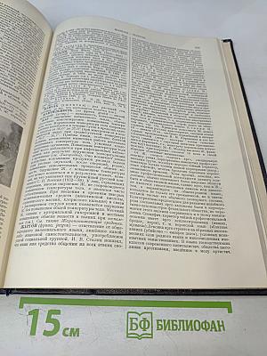 Большая Советская Энциклопедия, том 15: Докеры - Железняков
