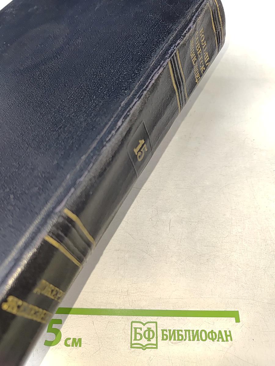 Большая Советская Энциклопедия, том 15: Докеры - Железняков