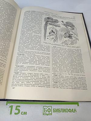 Большая Советская Энциклопедия, Том 35: Прокат - Раковины