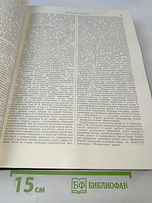 Большая Советская Энциклопедия. Том 5. Березна - Ботокуды