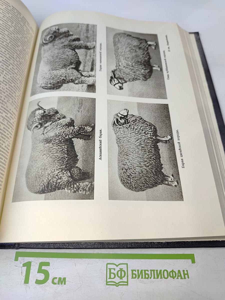 Большая Советская Энциклопедия. Том 30: Николаев — Олонки