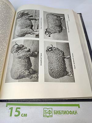 Большая Советская Энциклопедия. Том 30: Николаев — Олонки