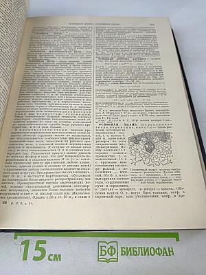 Большая Советская Энциклопедия. Том 31. Олонхо — Панино