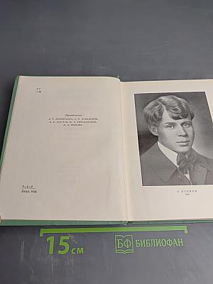Собрание сочинений. Том второй: Стихотворения, Драматические поэмы (Октябрь 1917–1923)