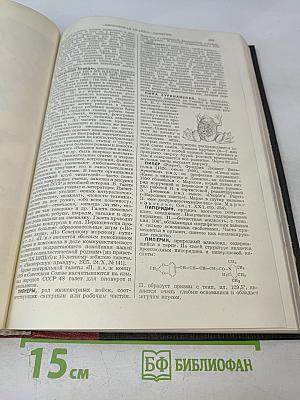 Большая Советская Энциклопедия. Том сорок пятый. Перемышль - Пол