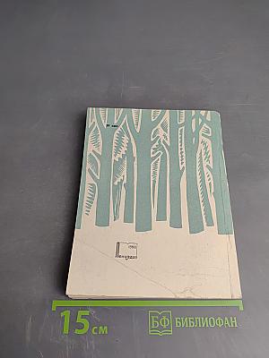 Начало романтики