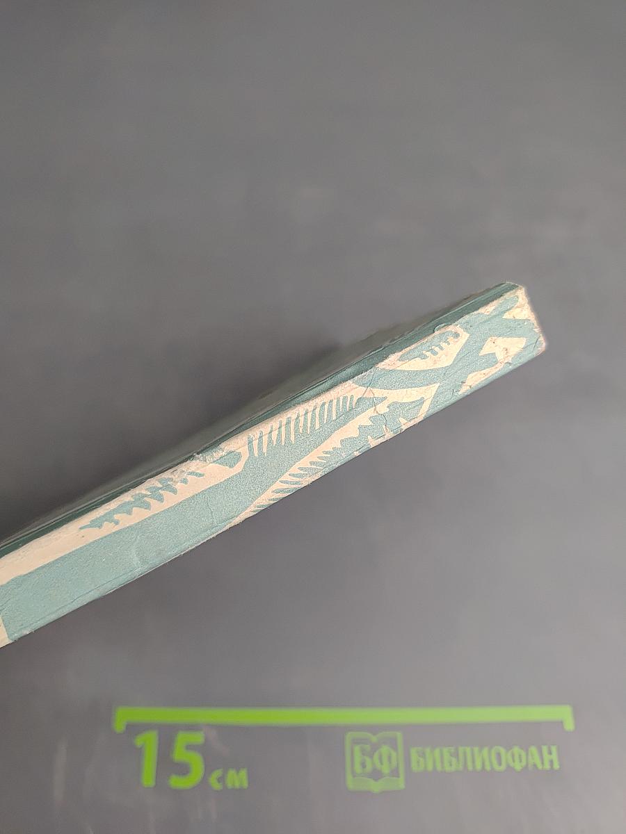 Начало романтики