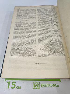 Большая Советская Энциклопедия, Том Шестьдесят Четвертый: Электрофор - Эфедрин