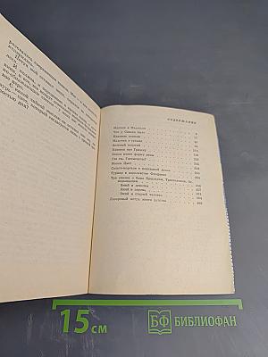 Зеленый попугай