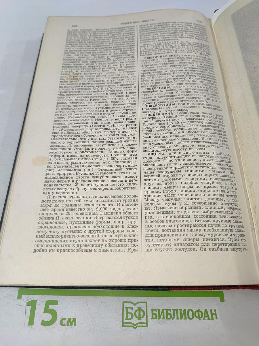 Большая Советская Энциклопедия. Том Шестьдесят Пятый. Эфемериды – Яя