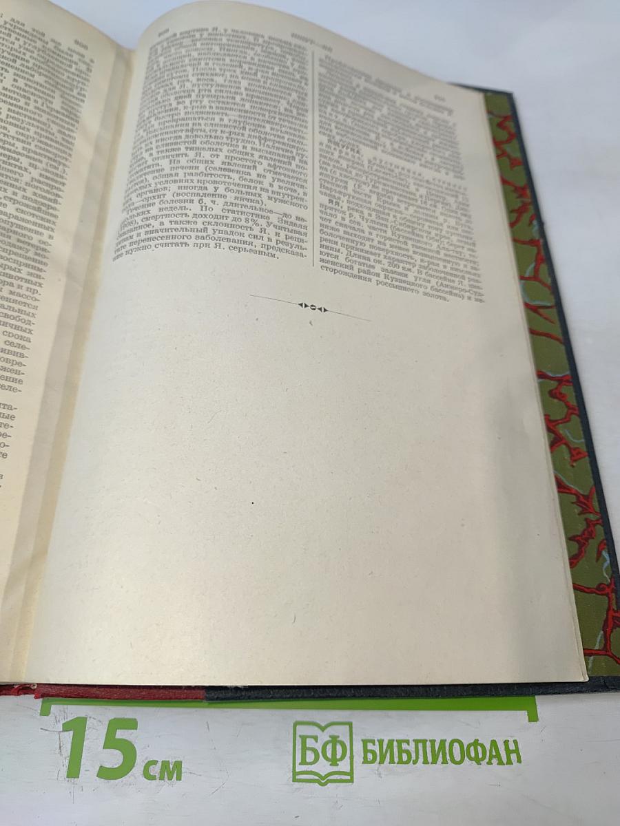 Большая Советская Энциклопедия. Том Шестьдесят Пятый. Эфемериды – Яя