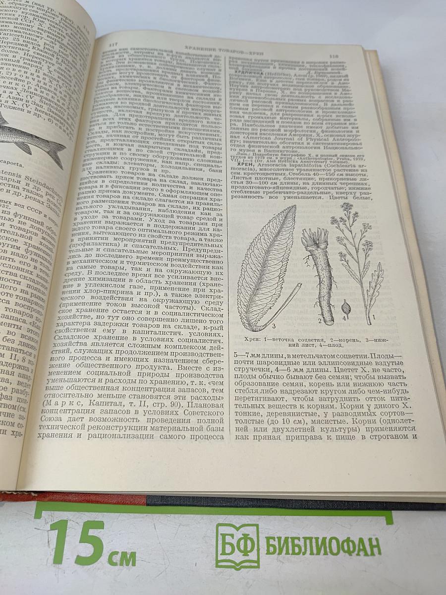 Большая Советская Энциклопедия, Том Шестидесятый: Холангит—Цинь
