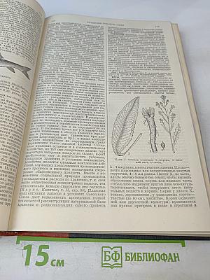 Большая Советская Энциклопедия, Том Шестидесятый: Холангит—Цинь