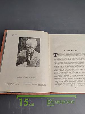 Марк Твен и Америка