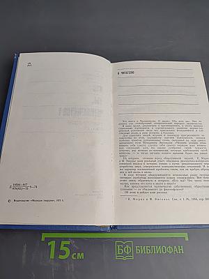 Кто ты, человечество? Теоретический портрет