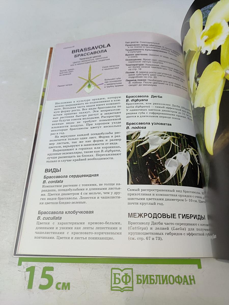 Все об орхидеях