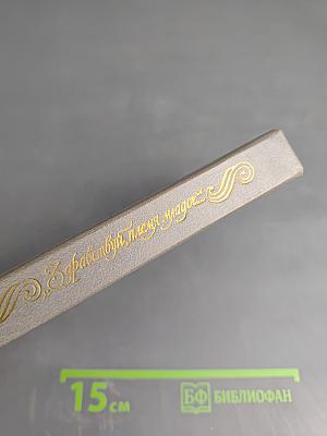 Здравствуй, племя младое... Книга III