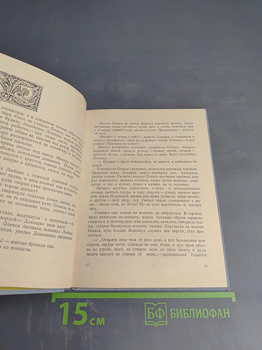 Господин Великий Новгород