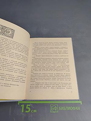 Господин Великий Новгород