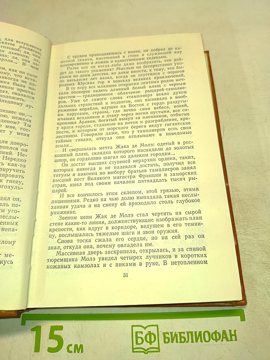 Железный король. Узница Шато-Гайара