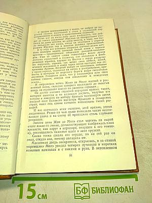 Железный король. Узница Шато-Гайара