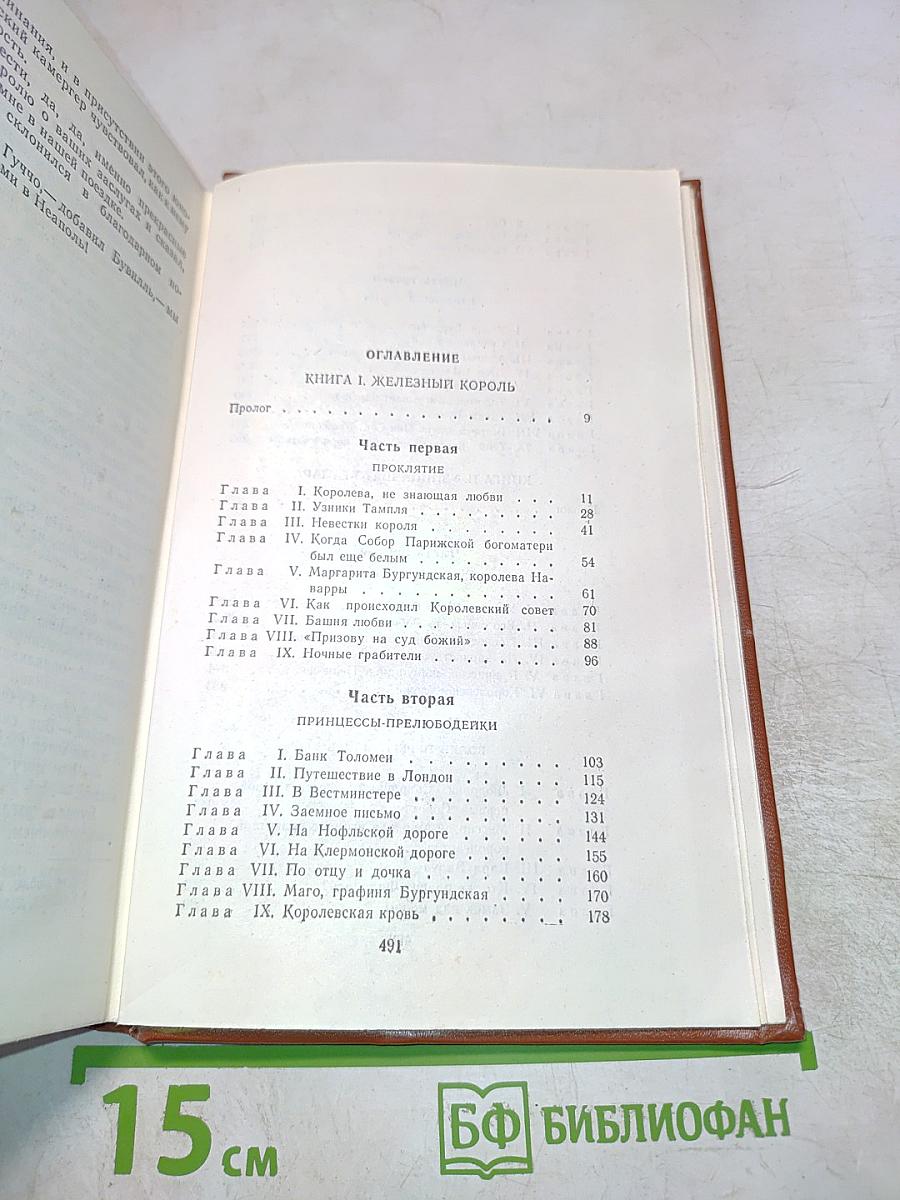 Железный король. Узница Шато-Гайара