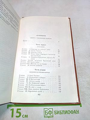 Железный король. Узница Шато-Гайара