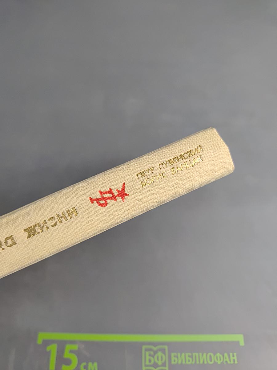 Главная удача жизни