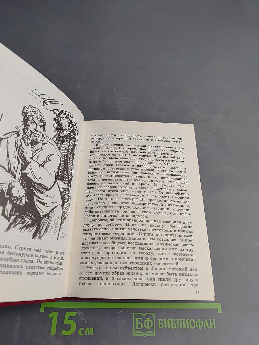 Дунайский лоцман