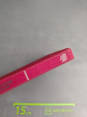 Дунайский лоцман