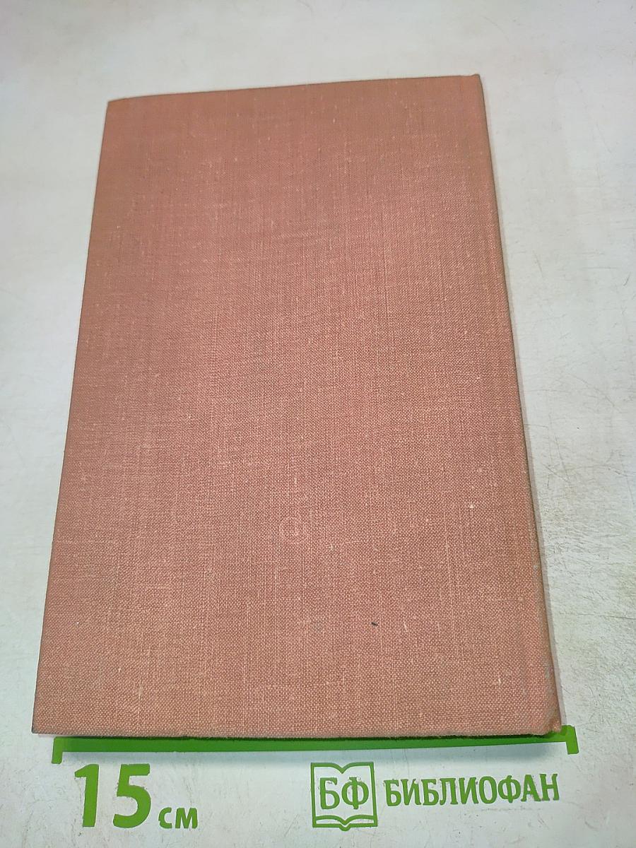 Имя твое – человек