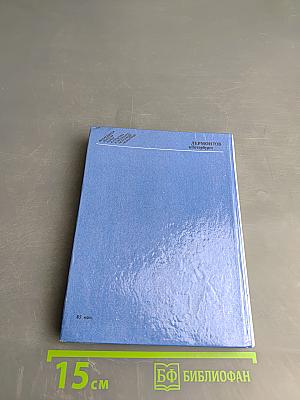 Лермонтов в петербурге