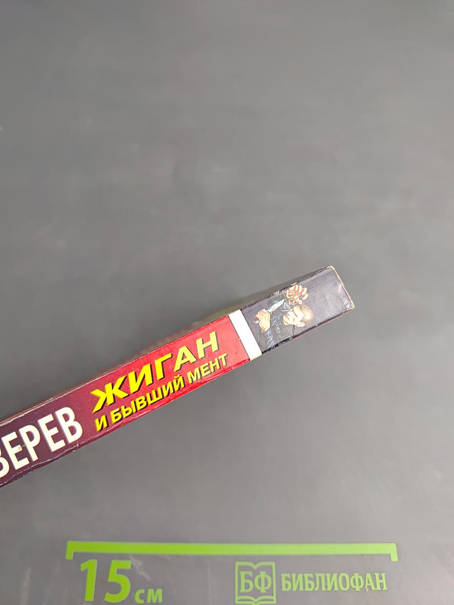 Жиган и бывший мент