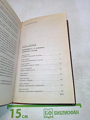 Д'Артаньян - гвардеец кардинала. Провинциал, в котором заговорил Париж. Роман-Эхо. Том 1