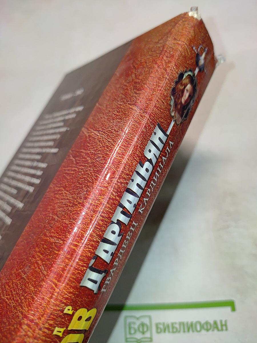 Д'Артаньян - гвардеец кардинала. Провинциал, в котором заговорил Париж. Роман-Эхо. Том 1