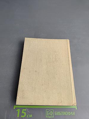 ...И помни обо мне