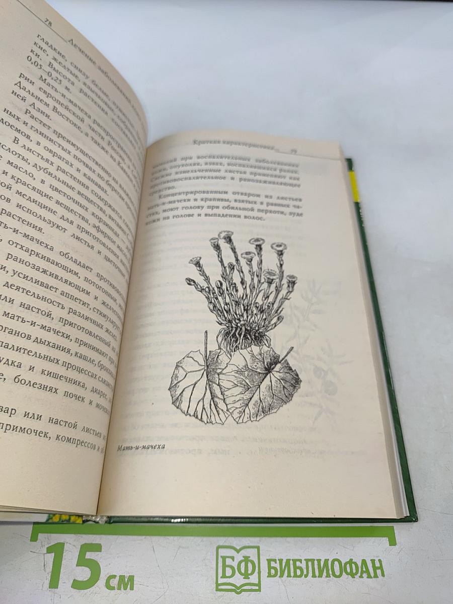 Лечение заболеваний кожи травами