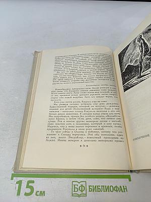 В Диком Краю. Дневник мирных приключений на Аляске