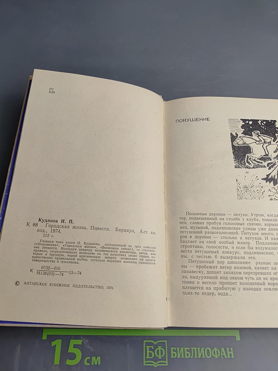 Городская жизнь