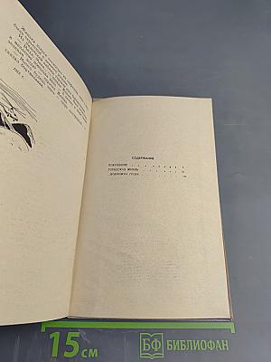 Городская жизнь