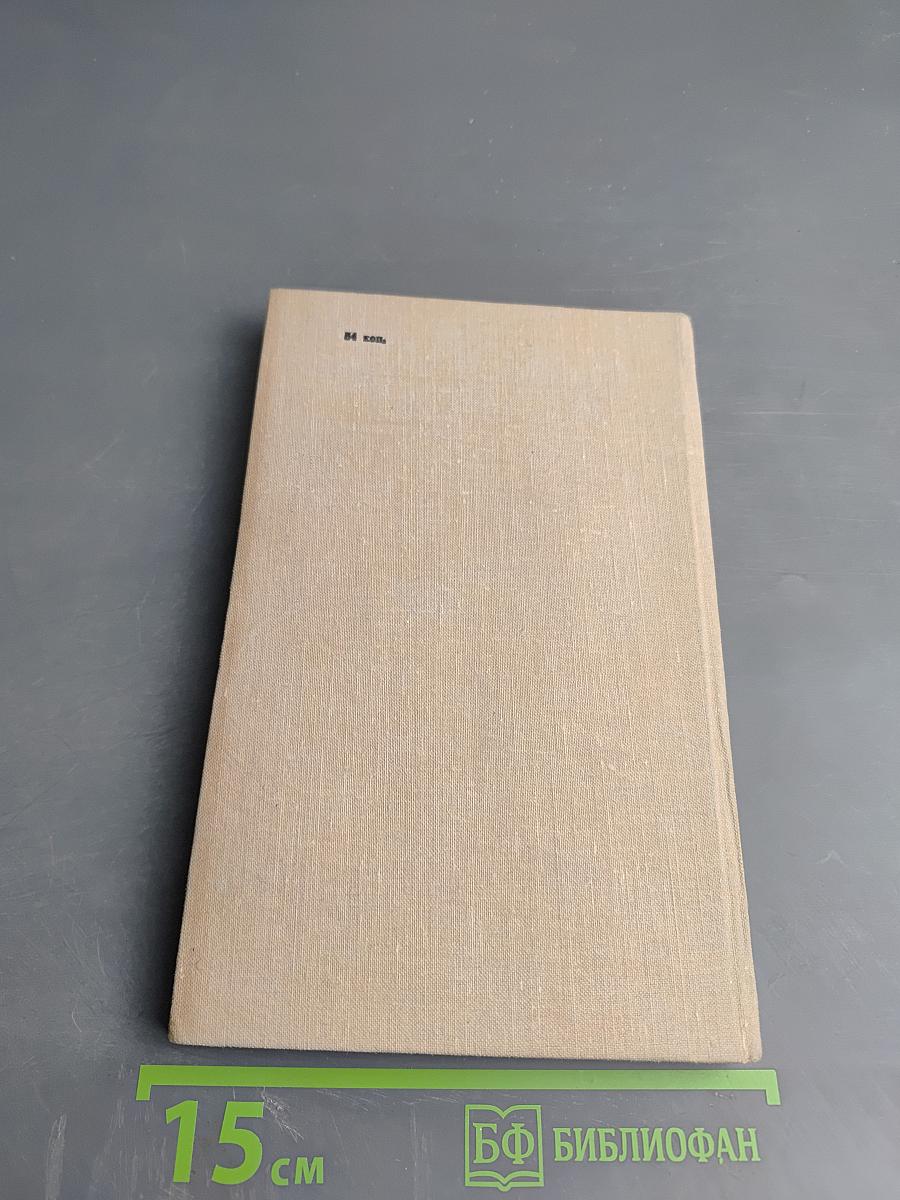 Городская жизнь